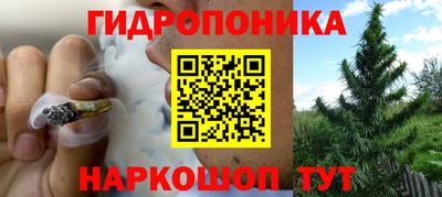mix Боровичи